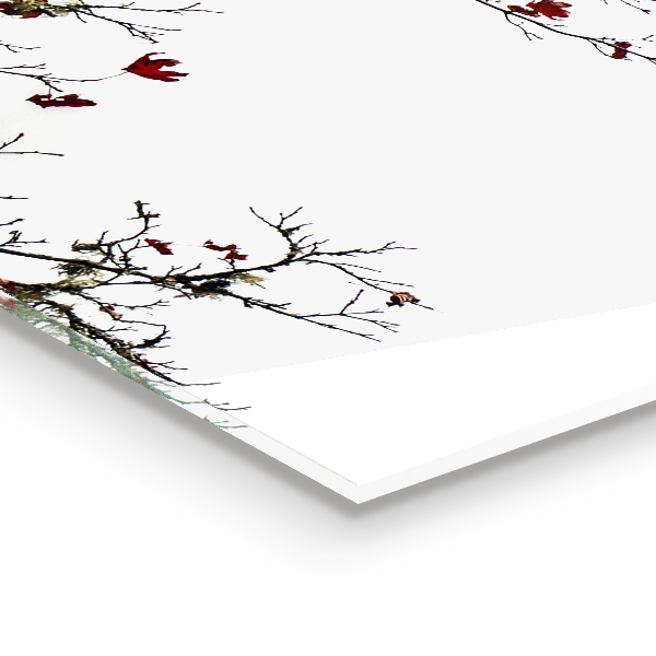 Verre pour crédence Paysage tranquillité d'esprit