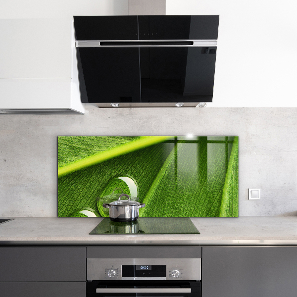 Crédence cuisine en verre Goutte de rosée sur une feuille