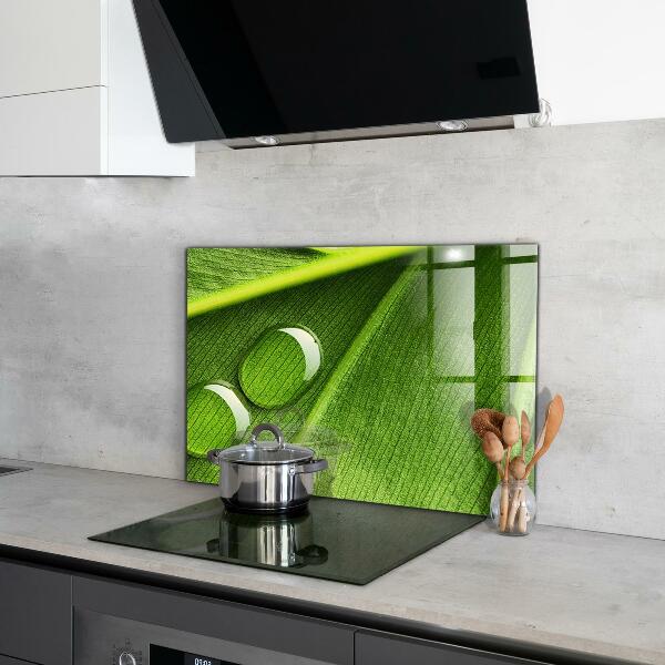 Crédence cuisine en verre Goutte de rosée sur une feuille