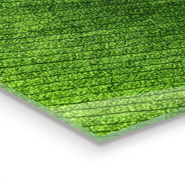 Crédence cuisine en verre Goutte de rosée sur une feuille