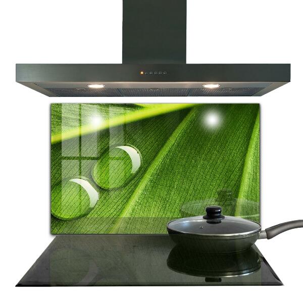 Crédence cuisine en verre Goutte de rosée sur une feuille