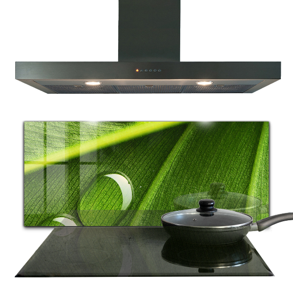 Crédence cuisine en verre Goutte de rosée sur une feuille