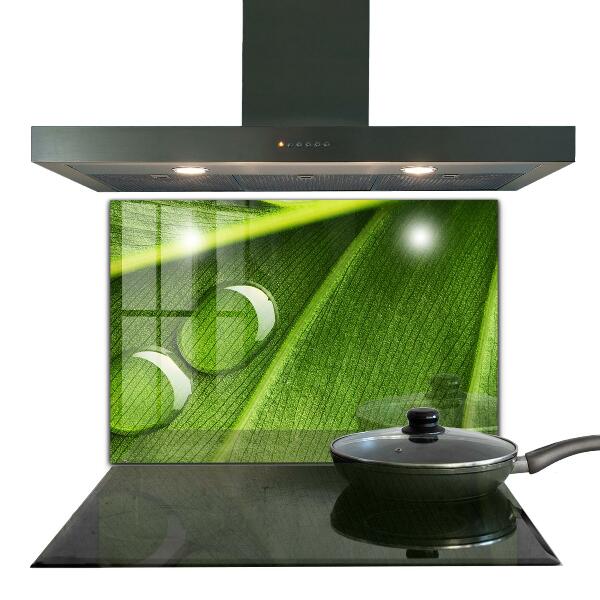 Crédence cuisine en verre Goutte de rosée sur une feuille