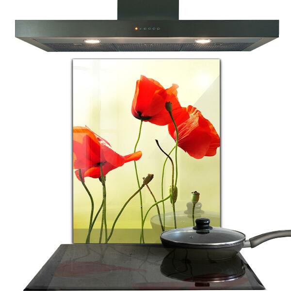 Crédence cuisine en verre Prairie de champ avec des coquelicots rouges