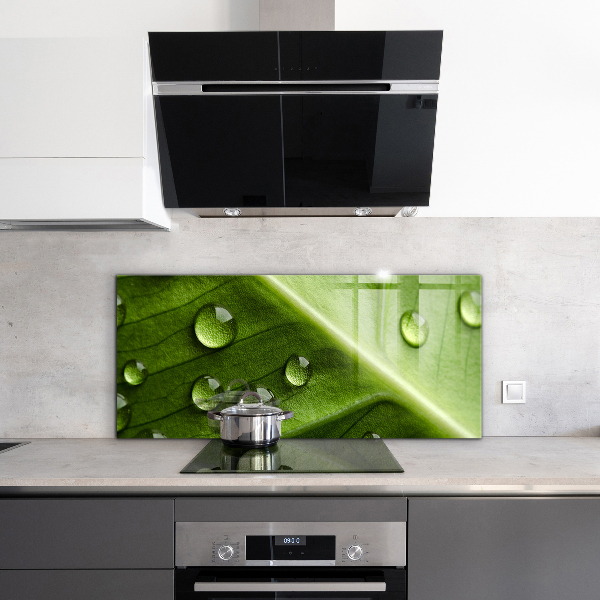 Crédence cuisine en verre Feuille avec des gouttes de rosée du matin