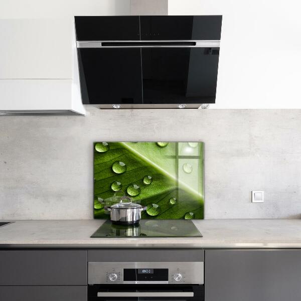 Crédence cuisine en verre Feuille avec des gouttes de rosée du matin