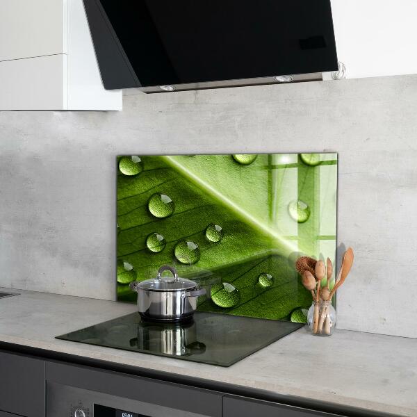 Crédence cuisine en verre Feuille avec des gouttes de rosée du matin
