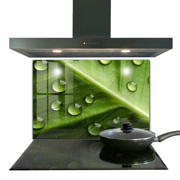 Crédence cuisine en verre Feuille avec des gouttes de rosée du matin