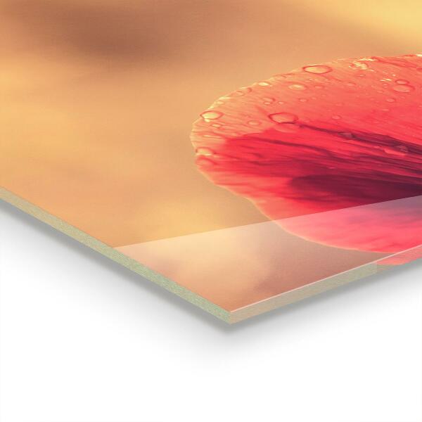 Crédence cuisine en verre Plante de pavot vintage