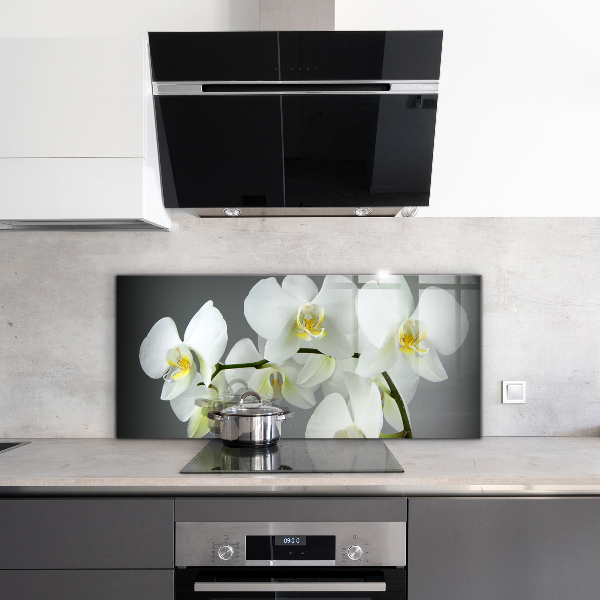 Crédence cuisine en verre Orchidée blanche sur fond noir