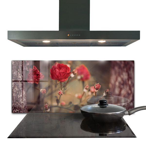 Crédence cuisine en verre Rose sauvage dans le parc