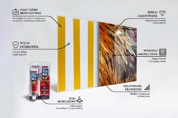 Panneaux muraux cuisine Plumes d'oiseaux colorées