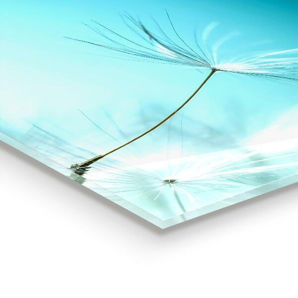 Crédence cuisine en verre Pissenlit pissenlit dans le vent