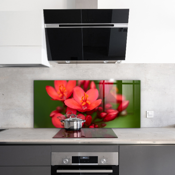 Crédence cuisine en verre Boutons floraux en fleurs