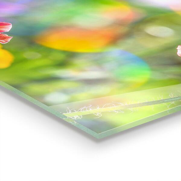 Crédence cuisine en verre Prairie d'été de coquelicots