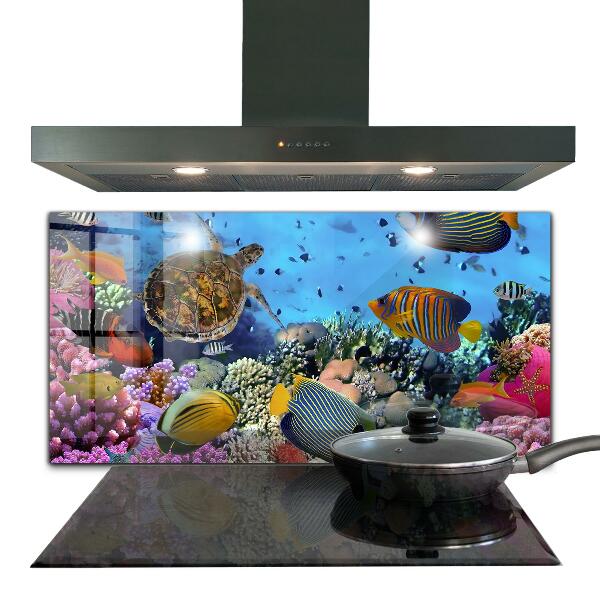 Crédence cuisine en verre Barrière de corail caraïbes