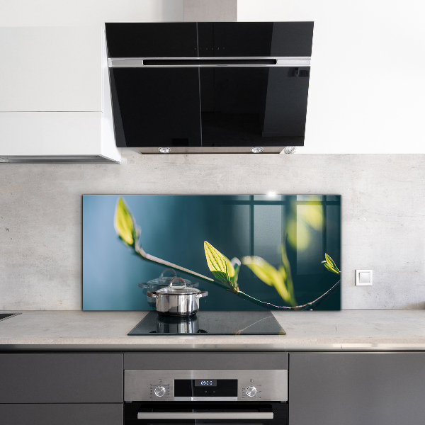 Crédence cuisine en verre Feuille brillante sur branche