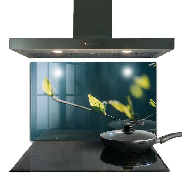 Crédence cuisine en verre Feuille brillante sur branche