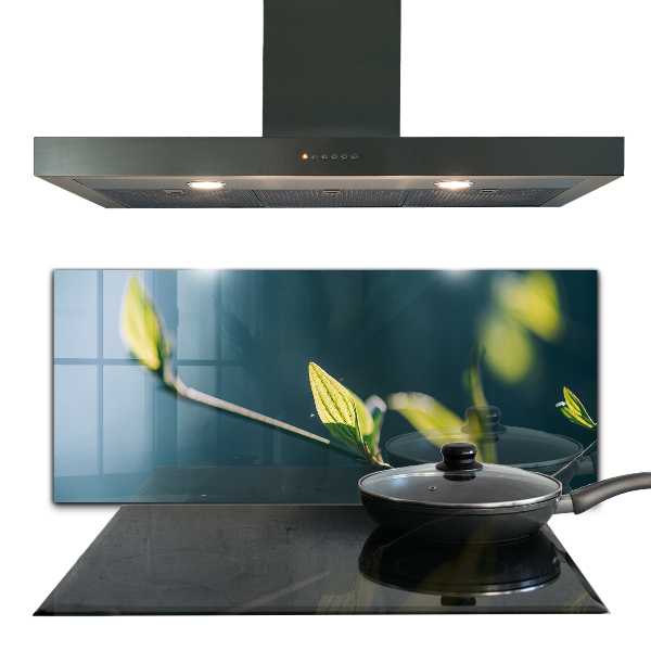 Crédence cuisine en verre Feuille brillante sur branche