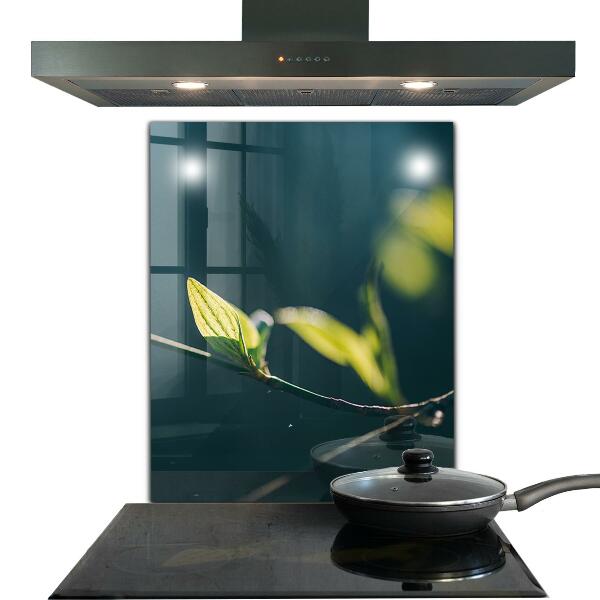 Crédence cuisine en verre Feuille brillante sur branche