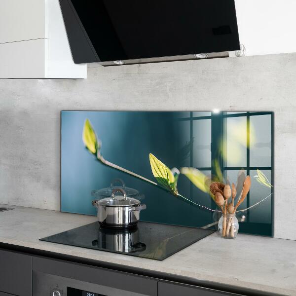 Crédence cuisine en verre Feuille brillante sur branche