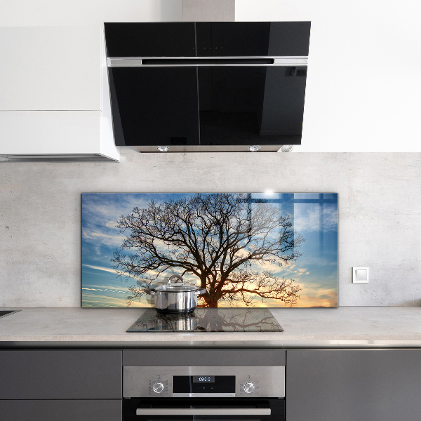 Crédence cuisine en verre Paysage prairie le matin