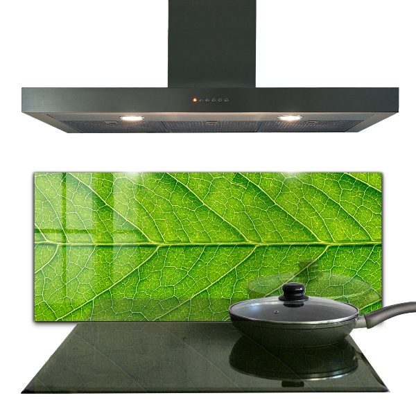 Crédence cuisine en verre Détails délicats des feuilles