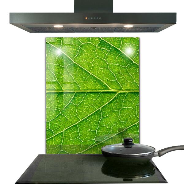 Crédence cuisine en verre Détails délicats des feuilles