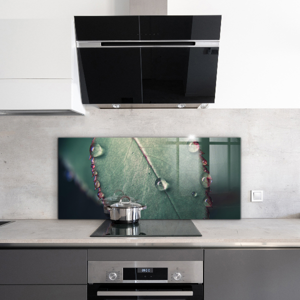 Crédence cuisine en verre Feuille avec une goutte de rosée