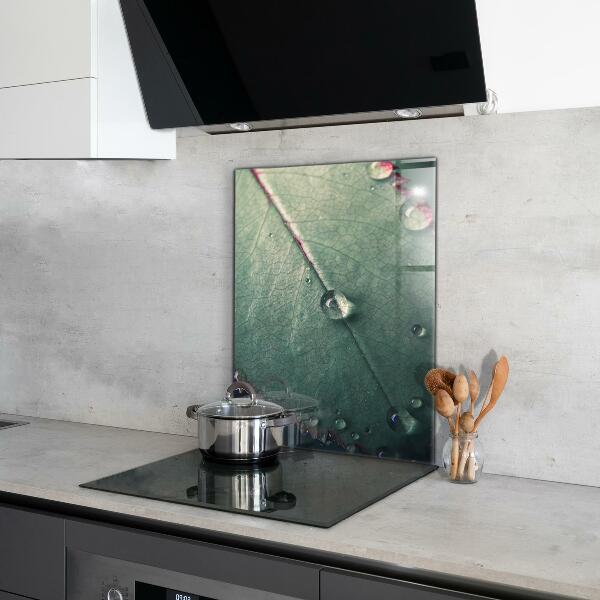 Crédence cuisine en verre Feuille avec une goutte de rosée