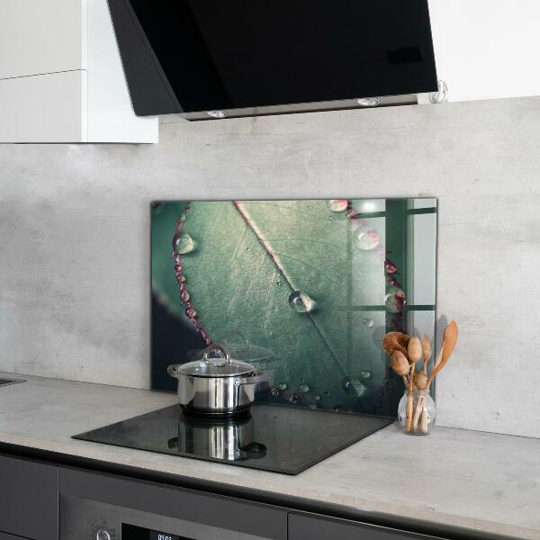 Crédence cuisine en verre Feuille avec une goutte de rosée