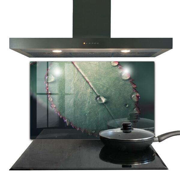 Crédence cuisine en verre Feuille avec une goutte de rosée