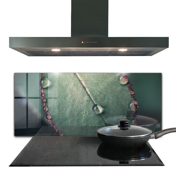 Crédence cuisine en verre Feuille avec une goutte de rosée