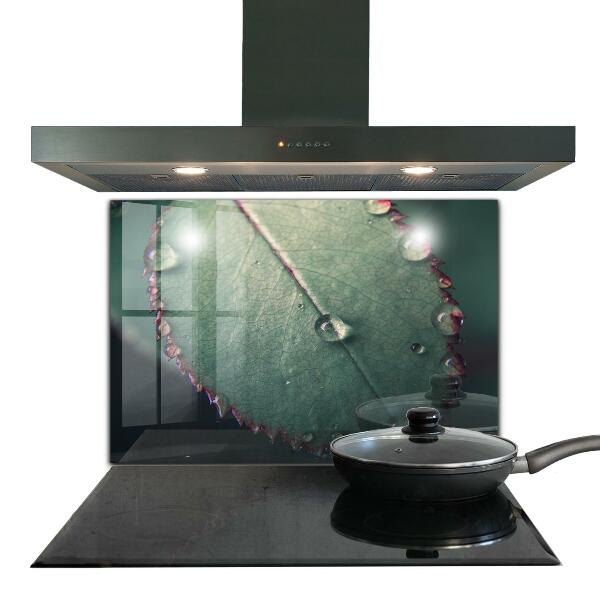 Crédence cuisine en verre Feuille avec une goutte de rosée