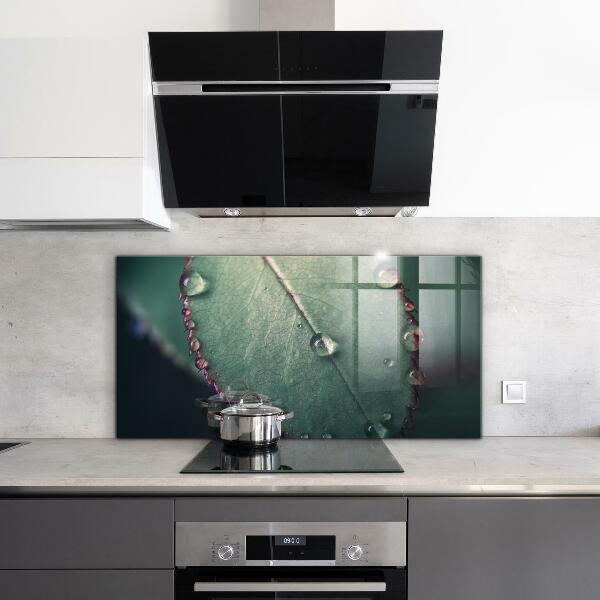 Crédence cuisine en verre Feuille avec une goutte de rosée