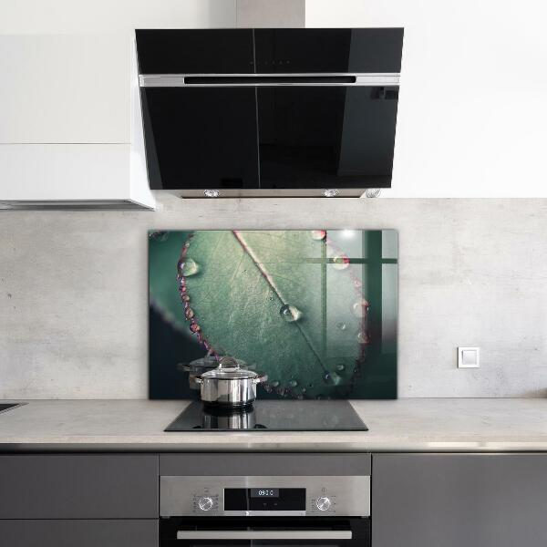 Crédence cuisine en verre Feuille avec une goutte de rosée