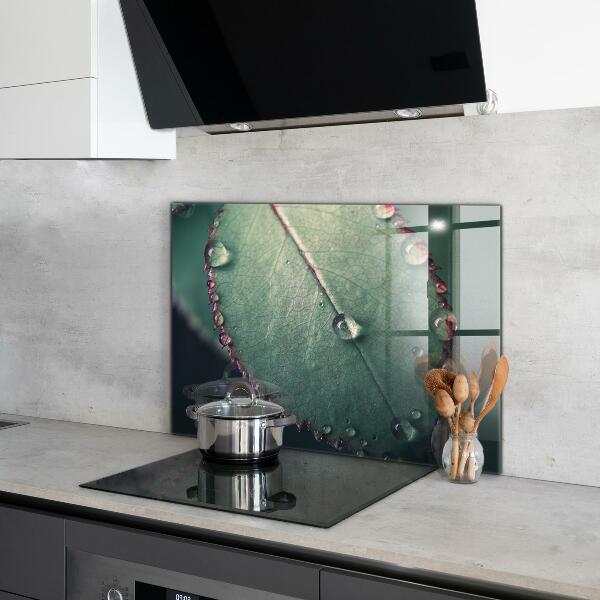 Crédence cuisine en verre Feuille avec une goutte de rosée