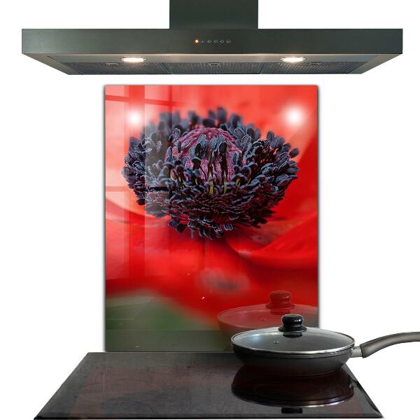 Crédence cuisine en verre Détails du coquelicot rouge