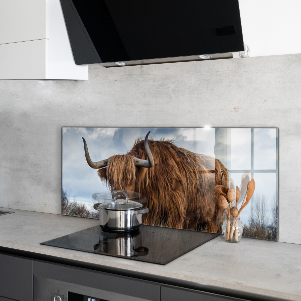 Crédence cuisine en verre Vache boho des highlands