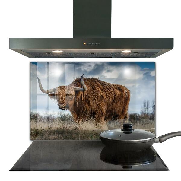 Crédence cuisine en verre Vache boho des highlands