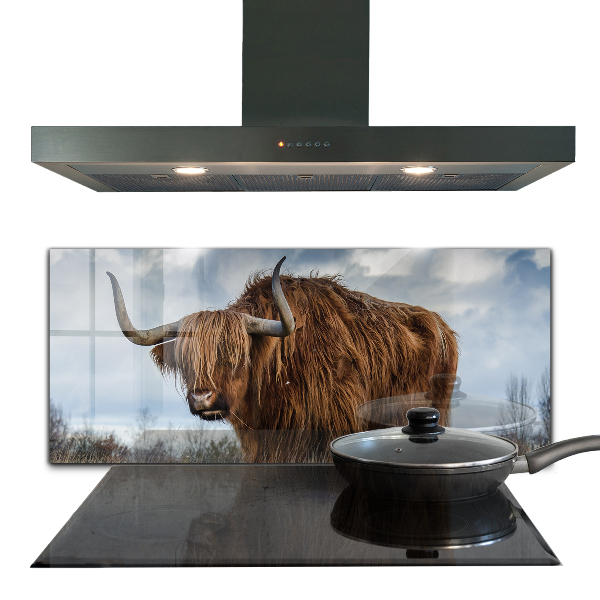 Crédence cuisine en verre Vache boho des highlands