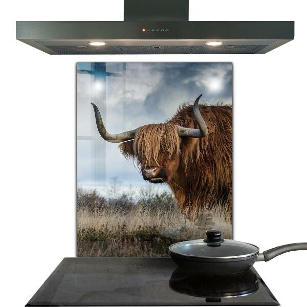 Crédence cuisine en verre Vache boho des highlands
