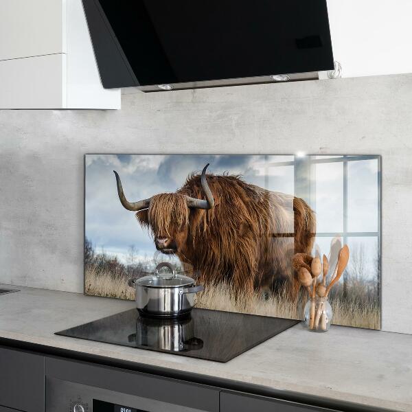 Crédence cuisine en verre Vache boho des highlands
