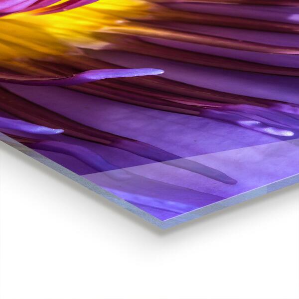 Crédence cuisine en verre Détails de la fleur violette