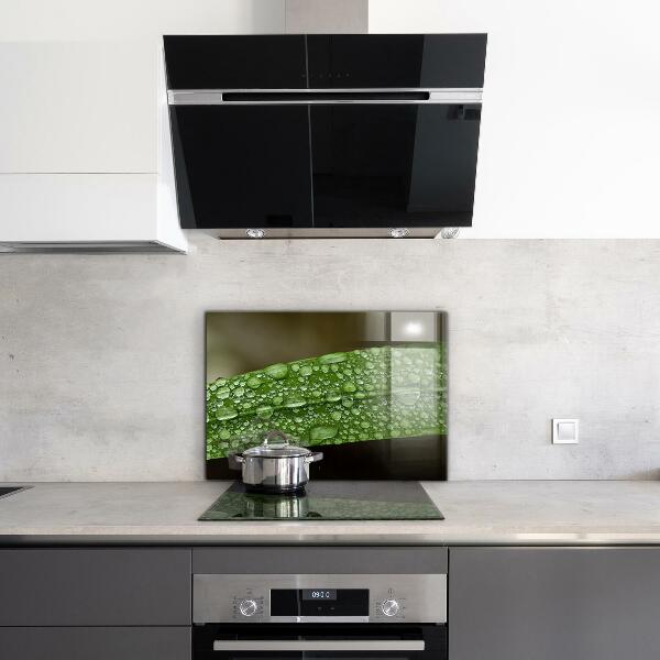 Crédence cuisine en verre Feuille verte après la pluie