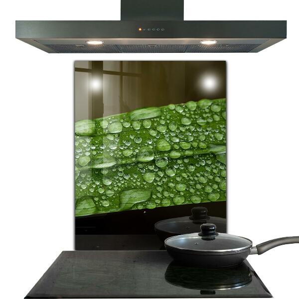 Crédence cuisine en verre Feuille verte après la pluie