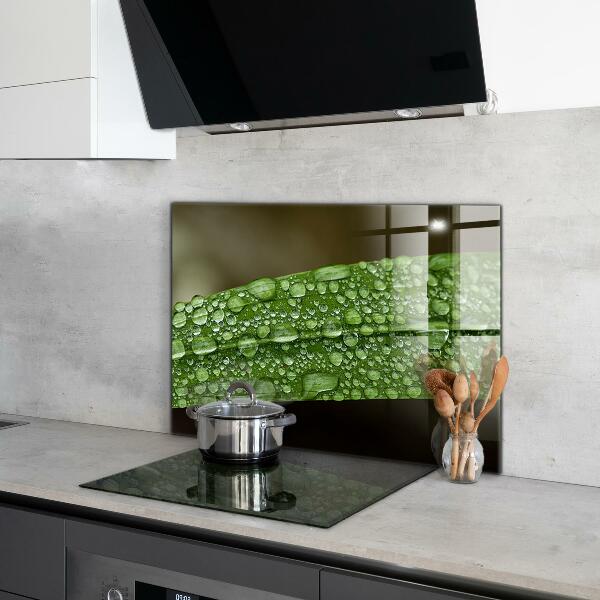 Crédence cuisine en verre Feuille verte après la pluie