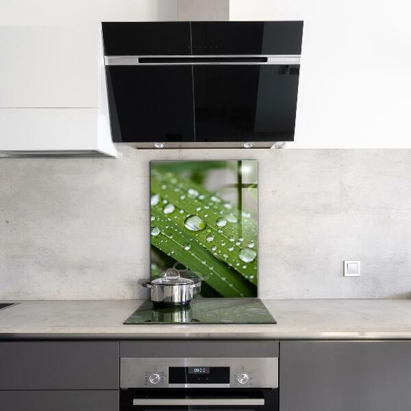 Crédence cuisine en verre Gouttes de rosée sur l'herbe