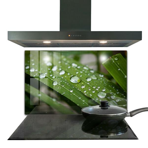 Crédence cuisine en verre Gouttes de rosée sur l'herbe