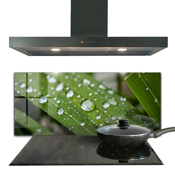 Crédence cuisine en verre Gouttes de rosée sur l'herbe